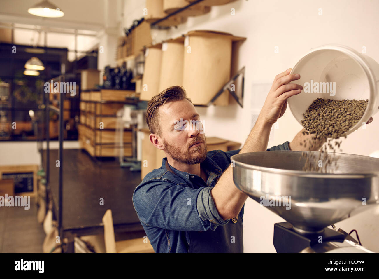 Imprenditore versando il caffè crudo fagioli in una moderna tostatura di mac Foto Stock