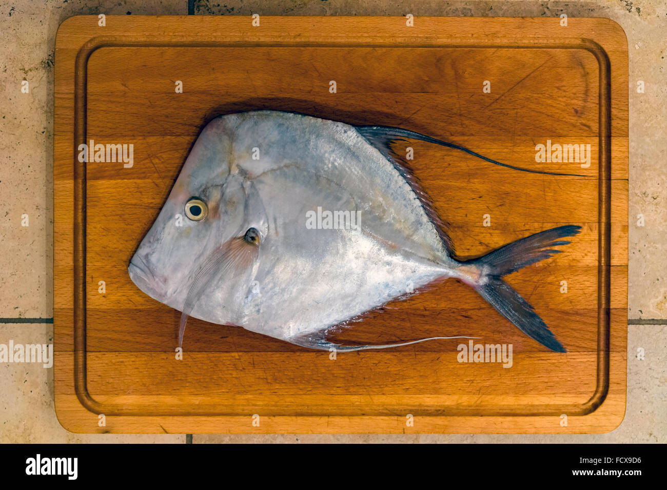 Moonfish fresco su un tagliere Foto Stock