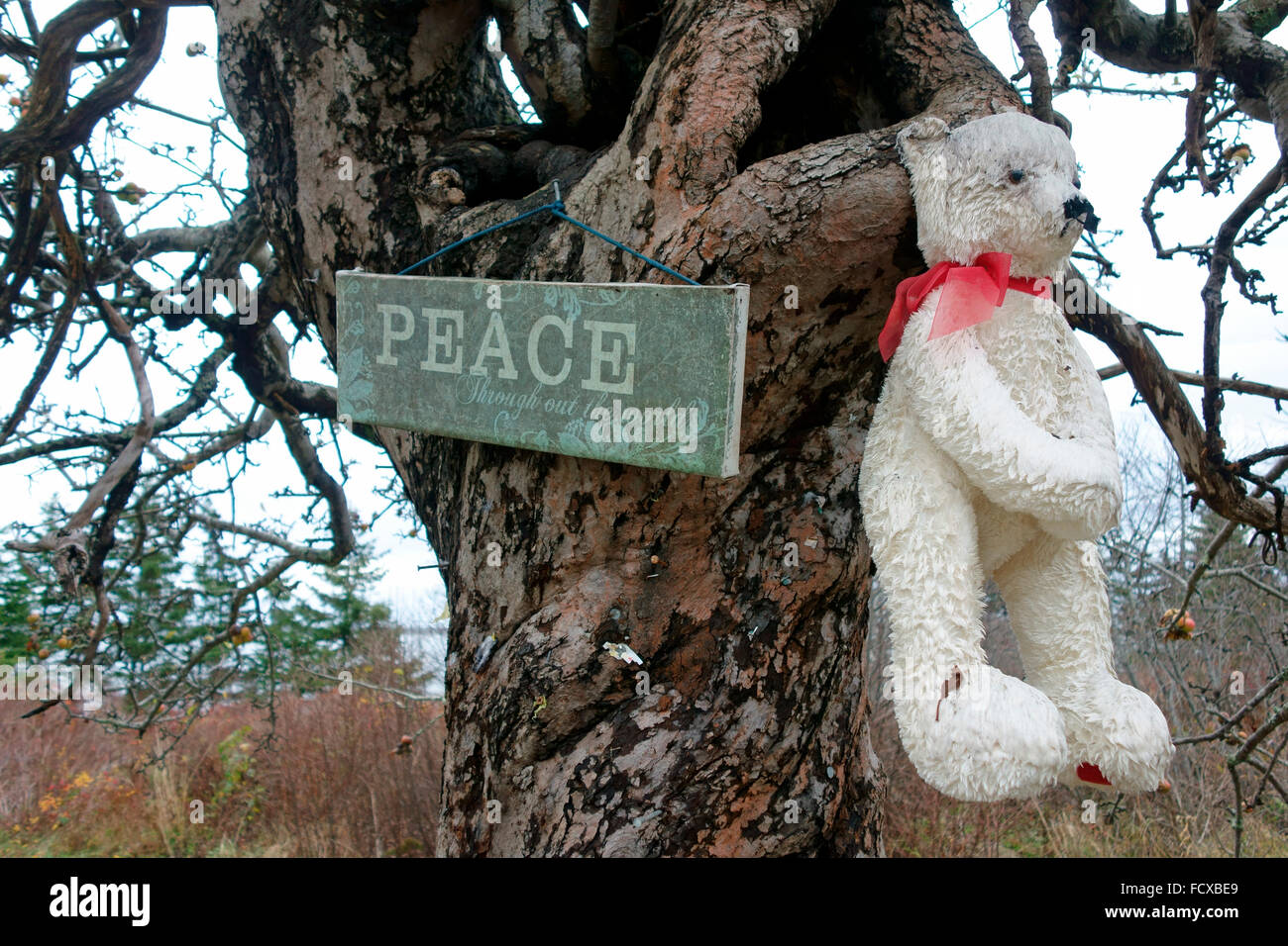 Un segno di pace e di orso di peluche su un albero Foto Stock