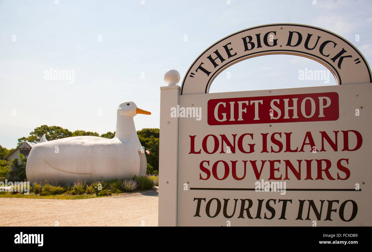Big duck nelle Fiandre NY long island Foto Stock