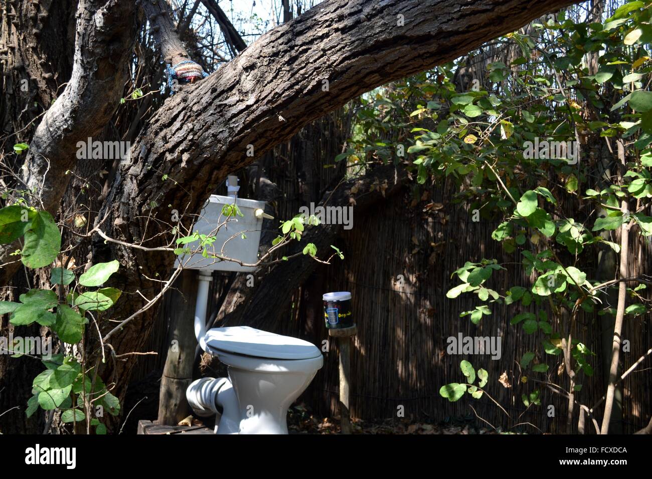 Toilette esterna in un campeggio in Botswana Foto Stock