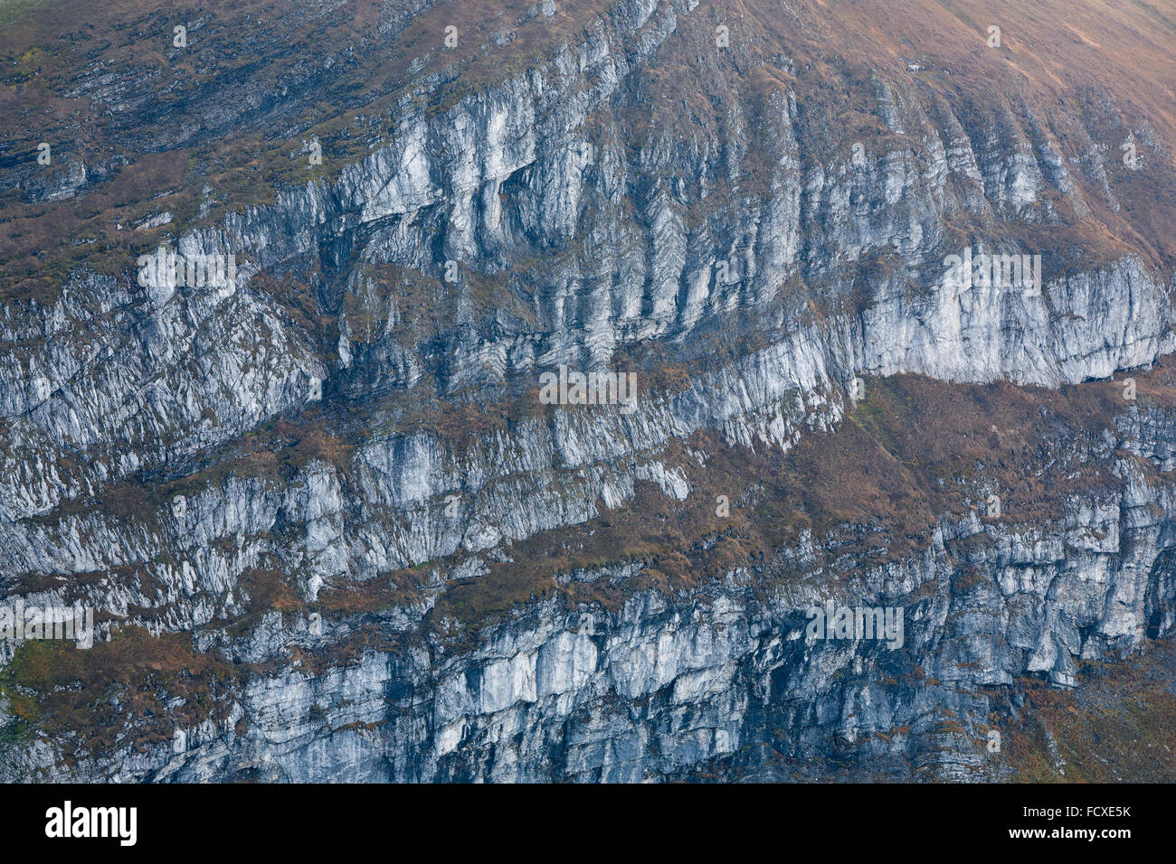 Montagna di Mangrt texture, Gorenjska, Slovenia Foto Stock