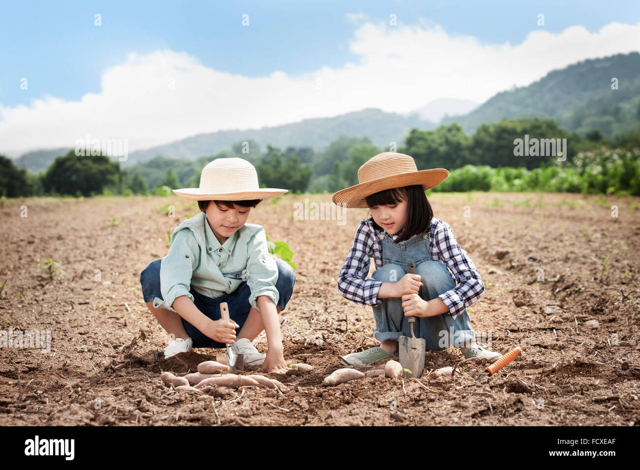 I due ragazzi in un cappello di paglia seduta sul campo e la raccolta di patate dolci Foto Stock