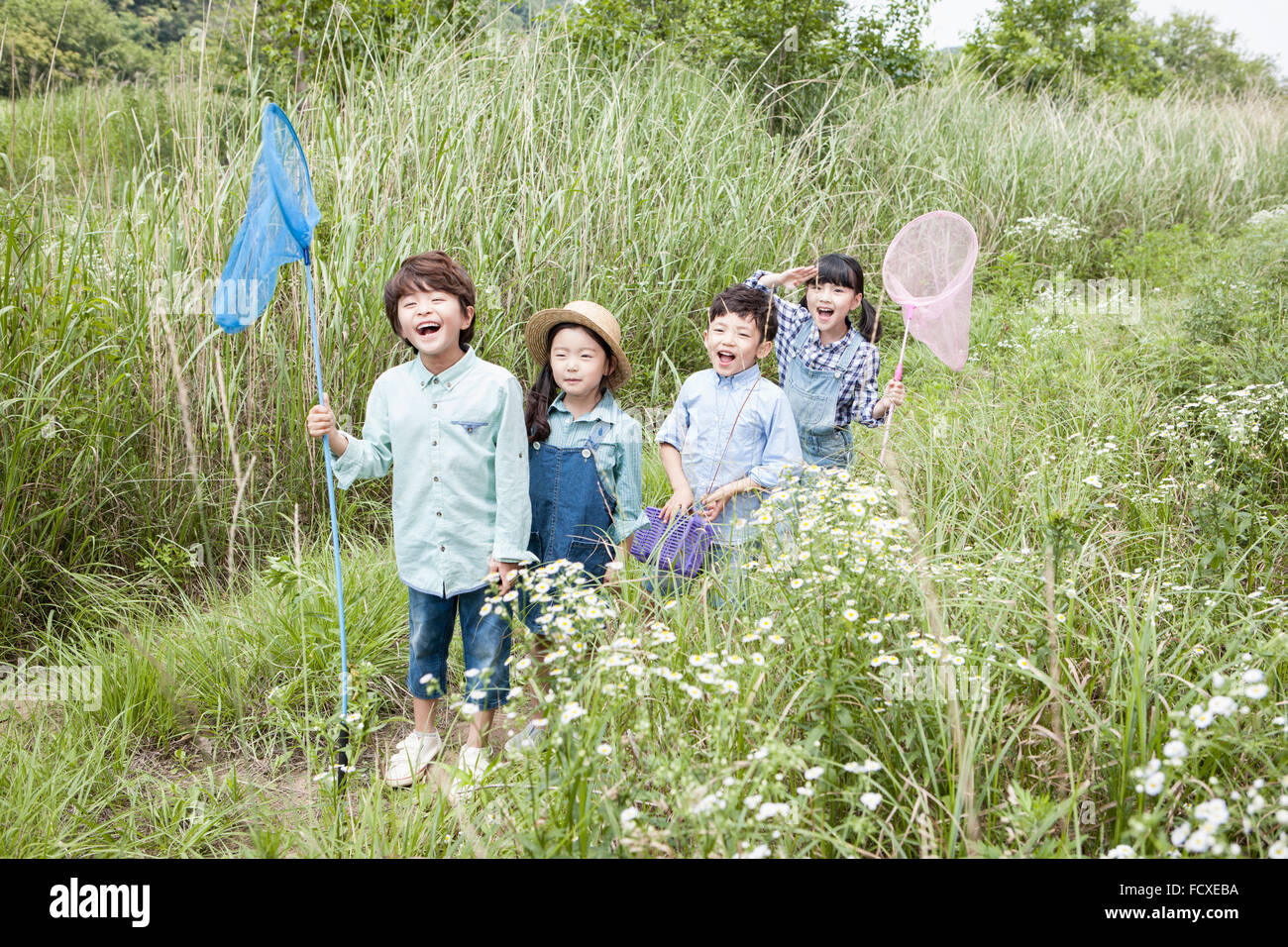 Quattro bambini in una fila con reti a farfalla e scatole di raccolta al campo di erba Foto Stock