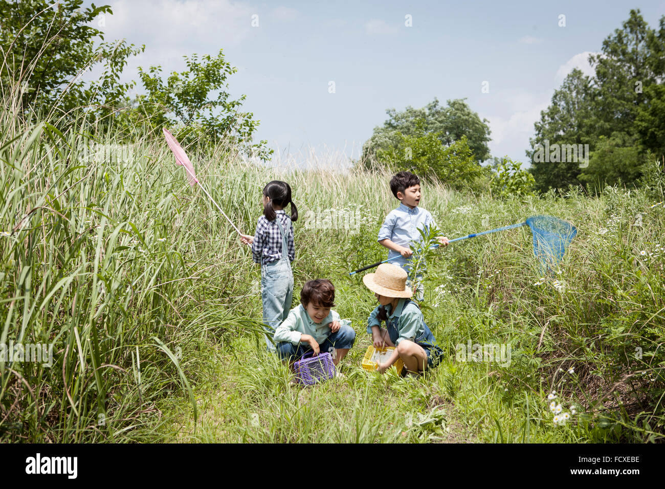 Quattro bambini divertendosi al campo di erba con reti a farfalla e scatole di raccolta Foto Stock