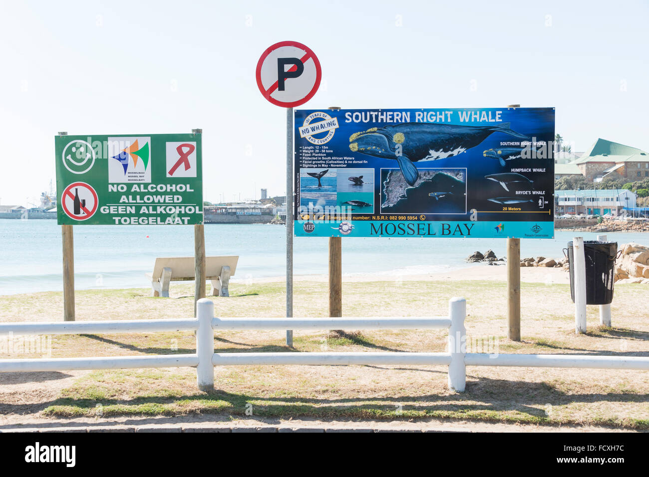 Southern Right Whale segno, Santos Beach, Mossel Bay, Eden District Comune, Provincia del Capo occidentale, Repubblica del Sud Africa Foto Stock