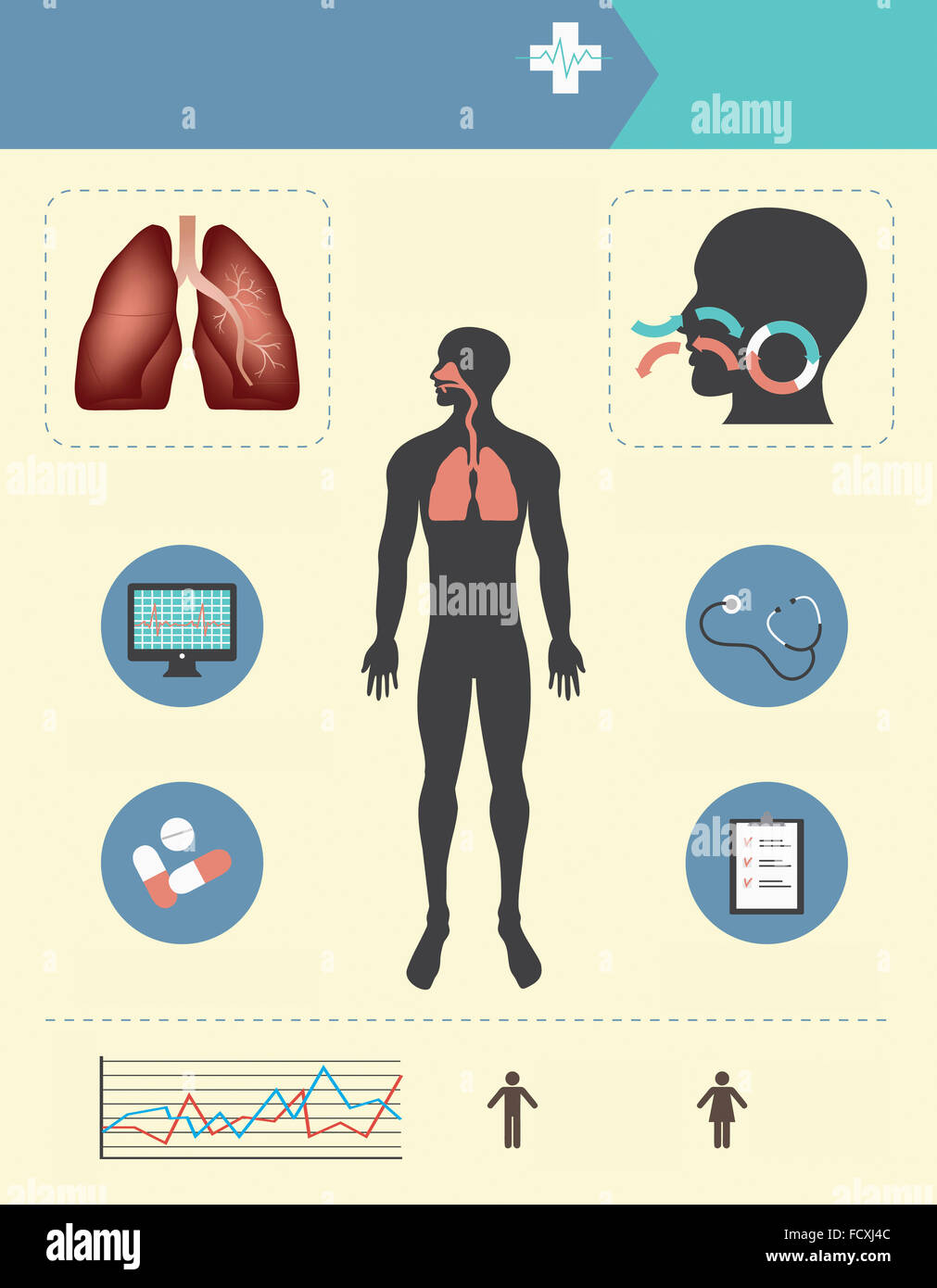 Una infografica dato circa il corpo umano e medicina Foto Stock