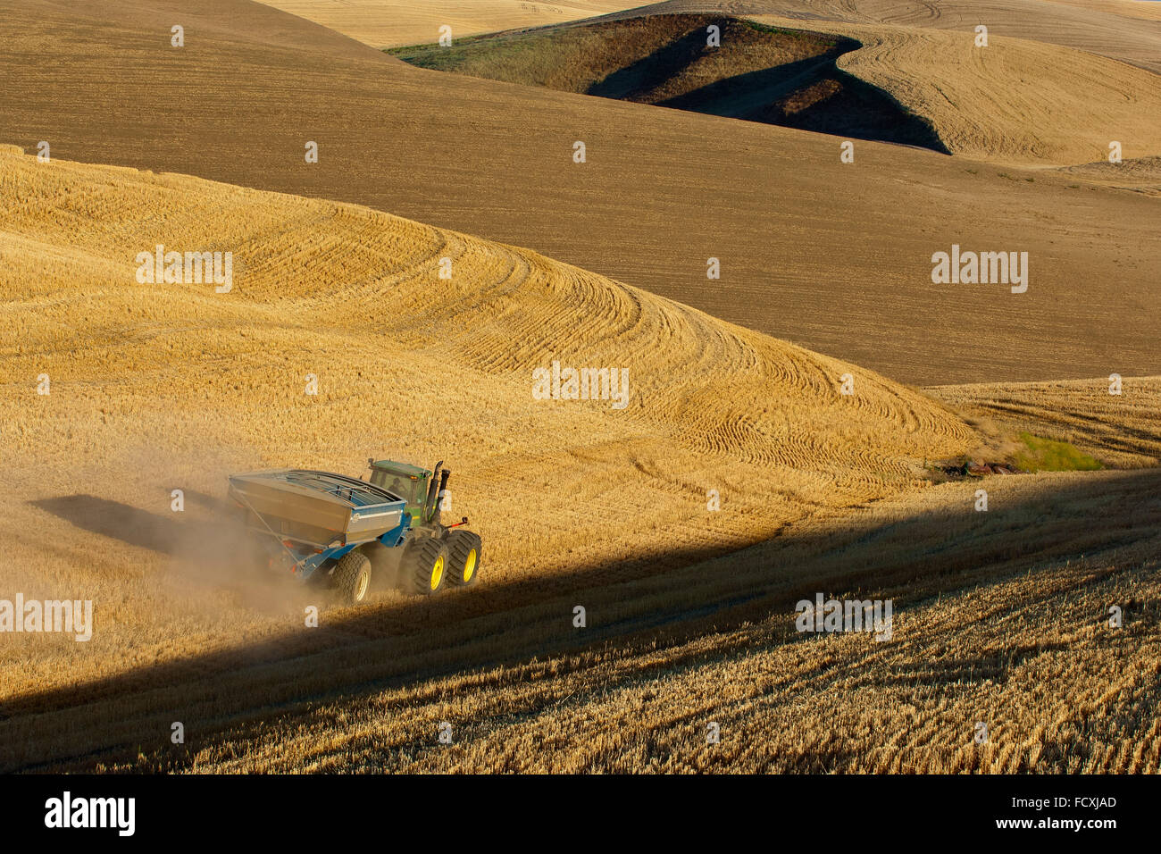 Un trattore tira un carrello per granella fa il suo modo attraverso un campo di stoppie di frumento nella regione Palouse di Washington Foto Stock
