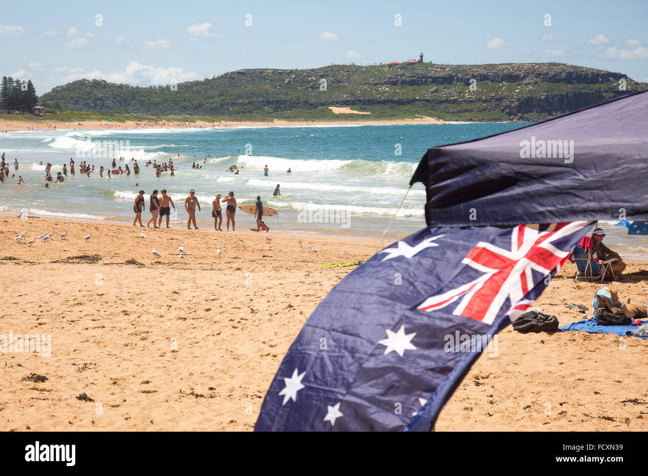 Sydney, Australia. Il 26 gennaio, 2016. Molti residenti di Sydney diretti verso la costa per celebrare il 2016 National Australia Day il 26 gennaio, qui a Palm Beach a Sydney le spiagge del nord le famiglie si sono divertiti e ci siamo goduti il pranzo su una giornata d'estate, Credito: modello10/Alamy Live News Foto Stock