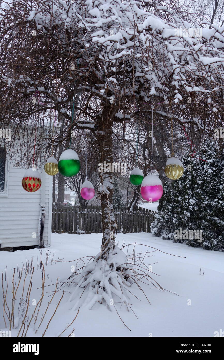 Addobbi natale coperto di neve dopo la tempesta di neve Jonas, Costa Orientale degli Stati Uniti Foto Stock