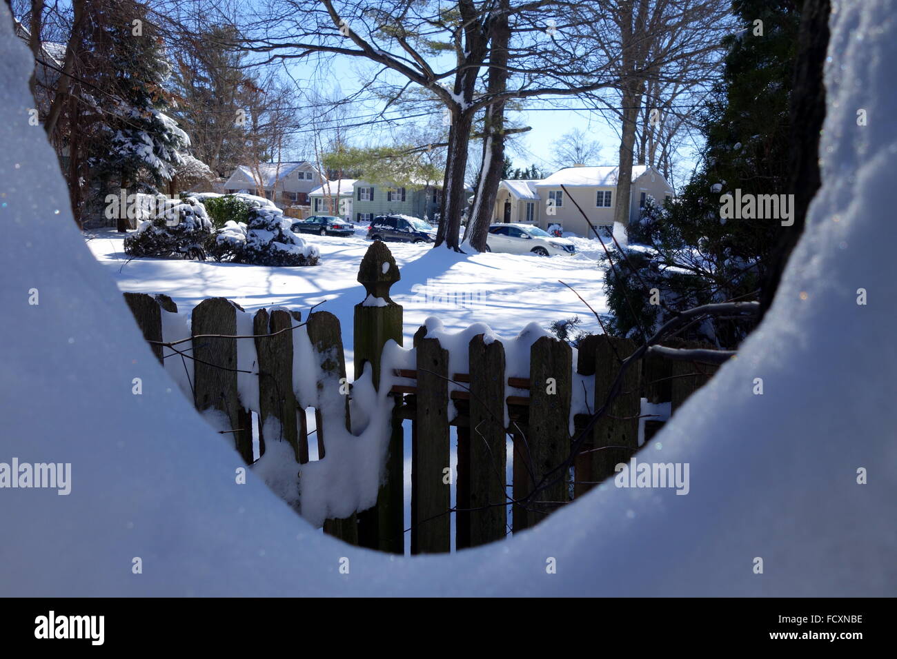 Guardando attraverso l'arco di una coperta di neve tronco di albero, snowstorm Jonas 2016 nella costa orientale, STATI UNITI D'AMERICA Foto Stock