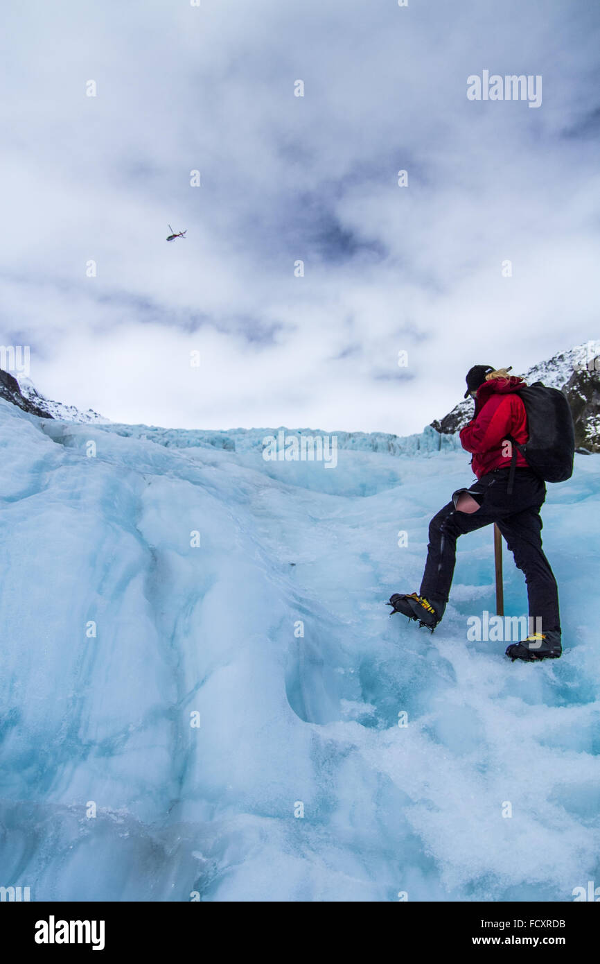Guida in Franz Josef, 12 Km ghiacciaio in Westland Tai Poutini National Park Foto Stock