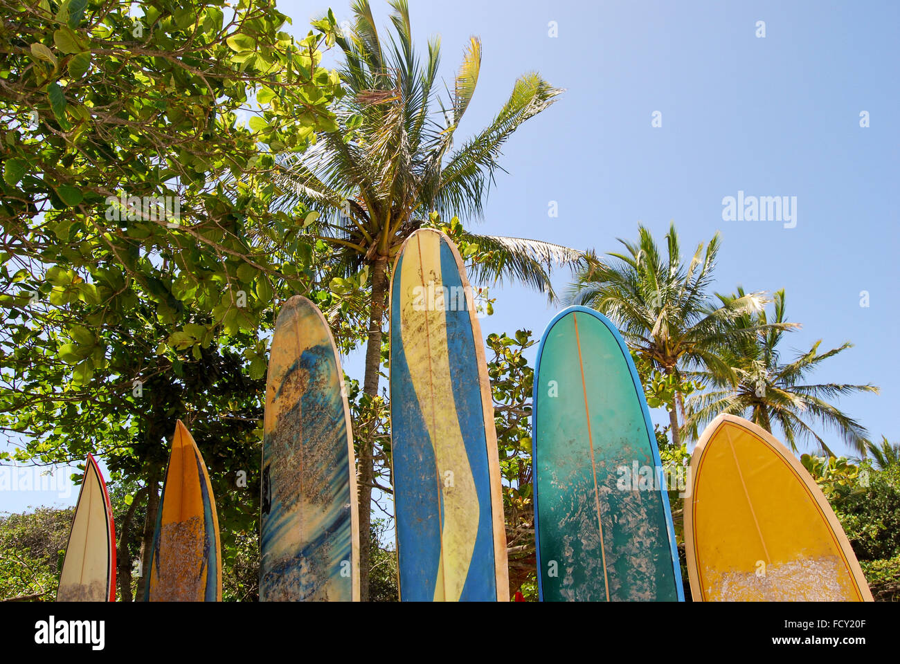 Ilha Grande Isola: tavole da surf in spiaggia Praia Lopes Mendes, stato di Rio de Janeiro, Brasile, Sud America Foto Stock