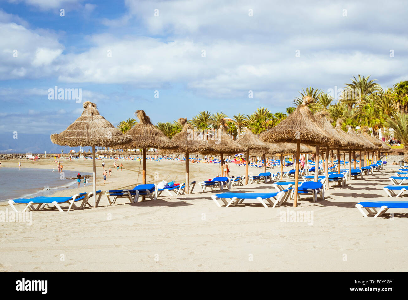 TENERIFE, Spagna - 18 gennaio 2013: Paglia ombrelloni e lettini su Playa de Las Americas, Tenerife, Isole Canarie, Spagna Foto Stock