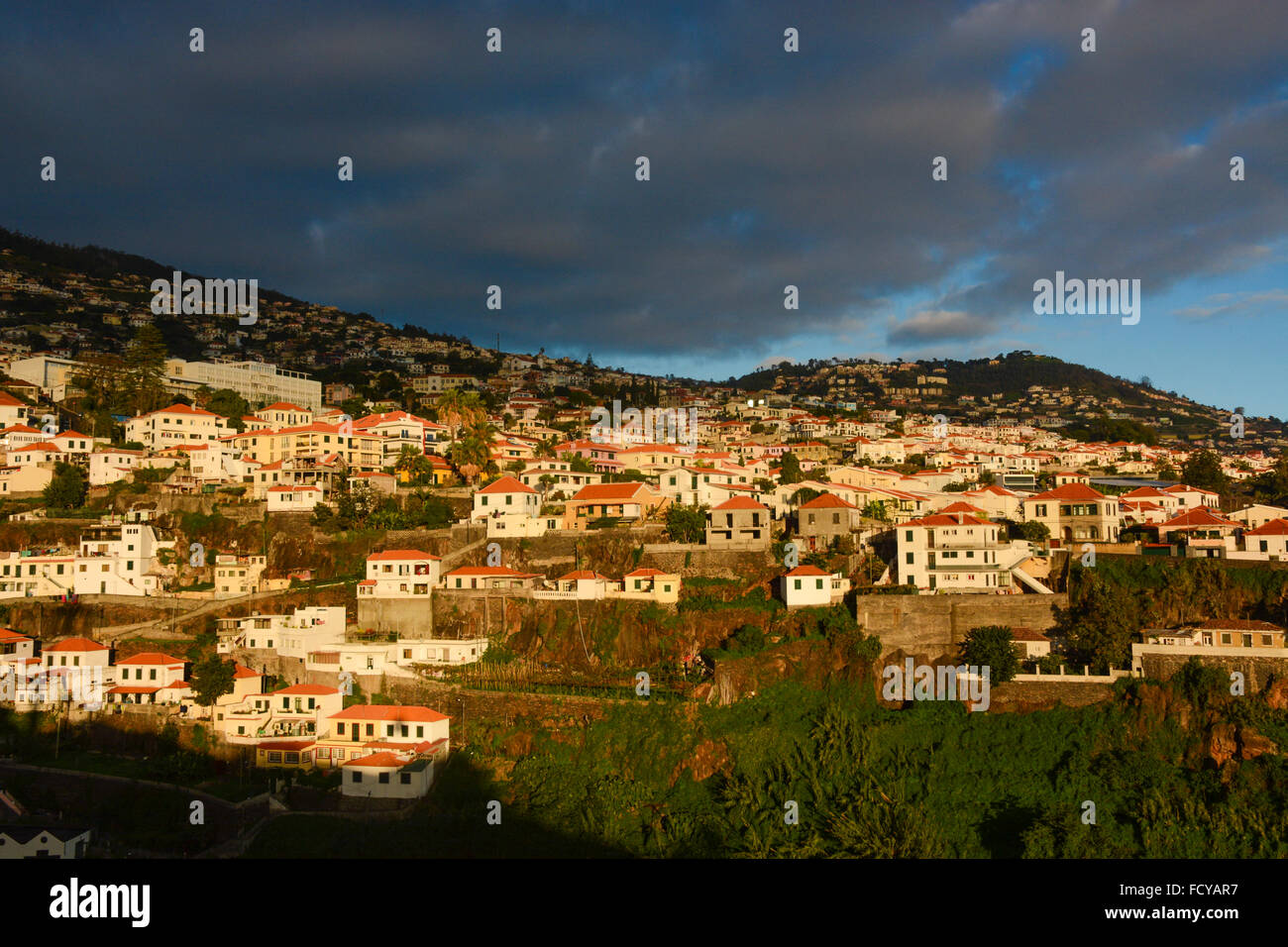 Vista dalla funivia, Funchal, Madeira Island, Portogallo Foto Stock