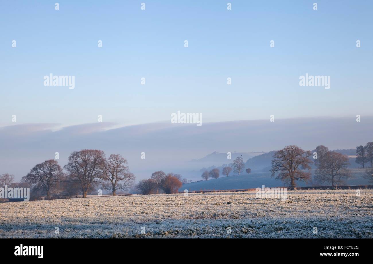 Trasformata per forte gradiente di brina sui terreni agricoli nei pressi del villaggio di Cotswolds di Chipping Campden, Gloucestershire, Inghilterra. Foto Stock