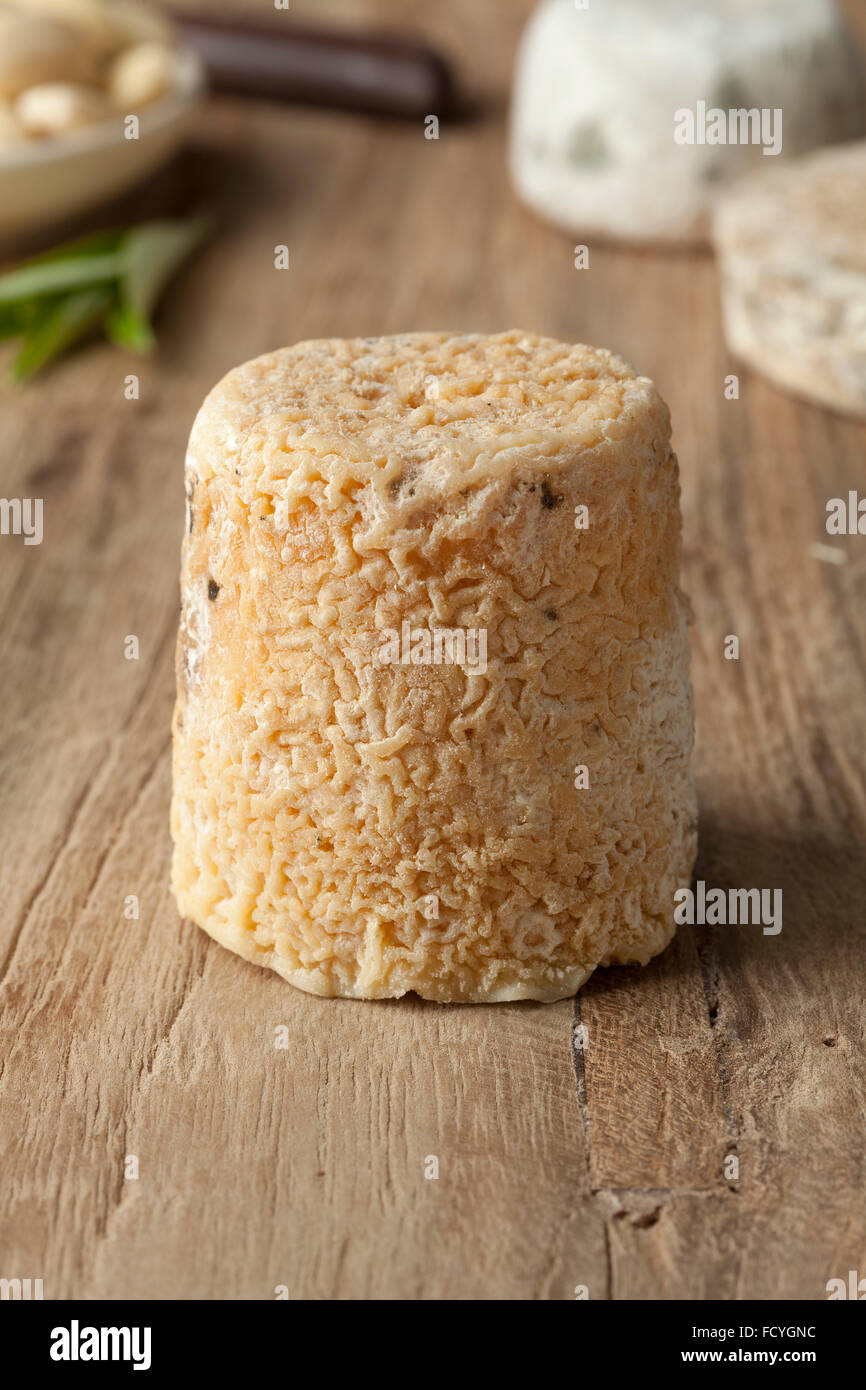 In stile tradizionale francese di formaggio di capra chiamato chevre chabichou Foto Stock