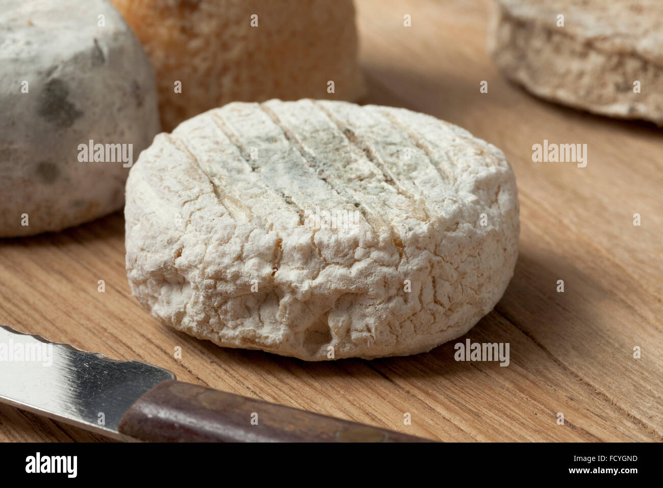 In stile tradizionale francese di formaggio di capra chiamato chevre d'or Foto Stock