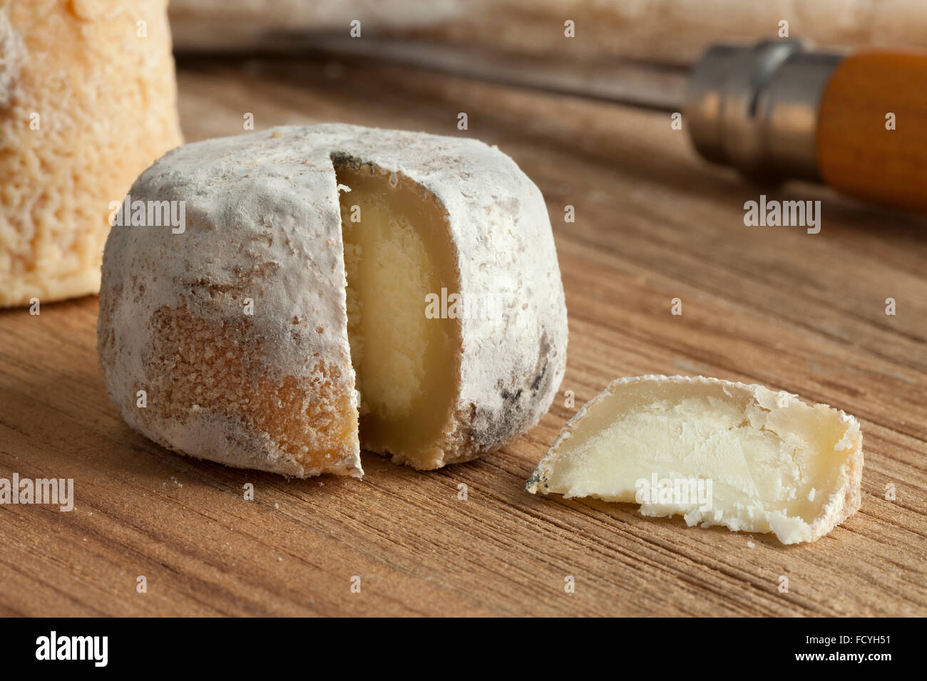 In stile tradizionale francese di formaggio di capra chiamato chevre pico Foto Stock