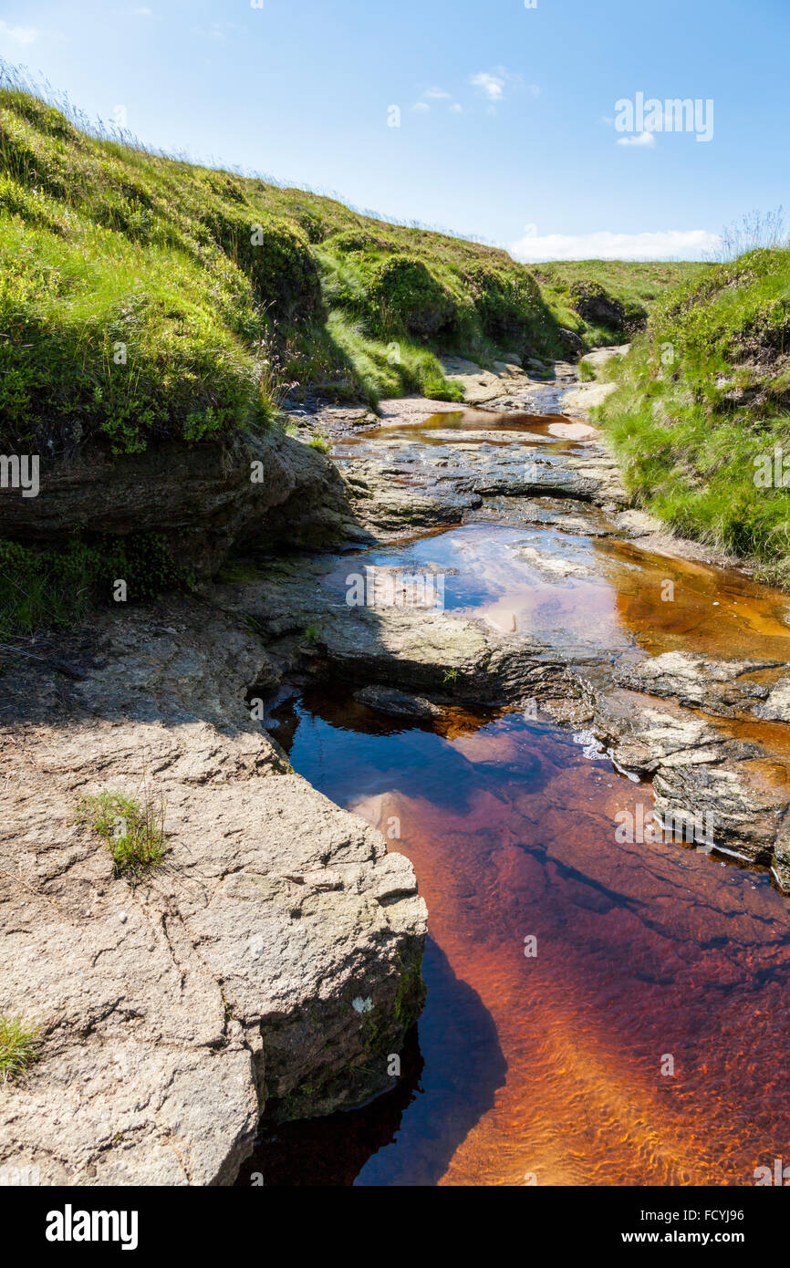 Gritstone letto di ruscello con un flusso di naturalmente decolorate acqua dalla zona circostante la brughiera torba, Kinder Scout, Derbyshire, Peak District, REGNO UNITO Foto Stock