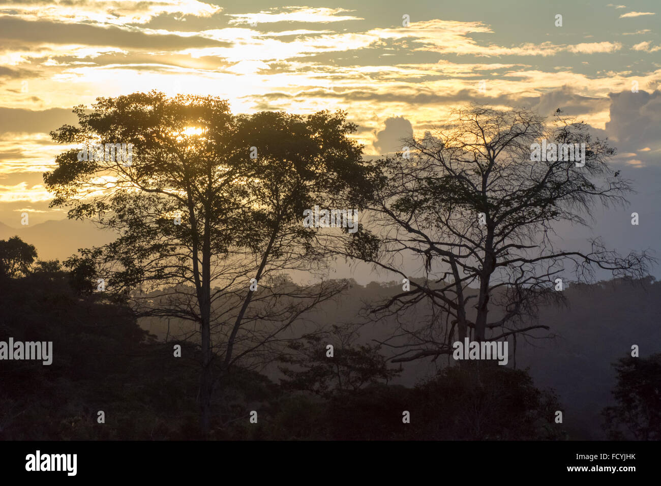 Vista guardando fuori su una giungla tropicale al calar della sera in Amazonas/San Martin regione del nord del Perù Foto Stock