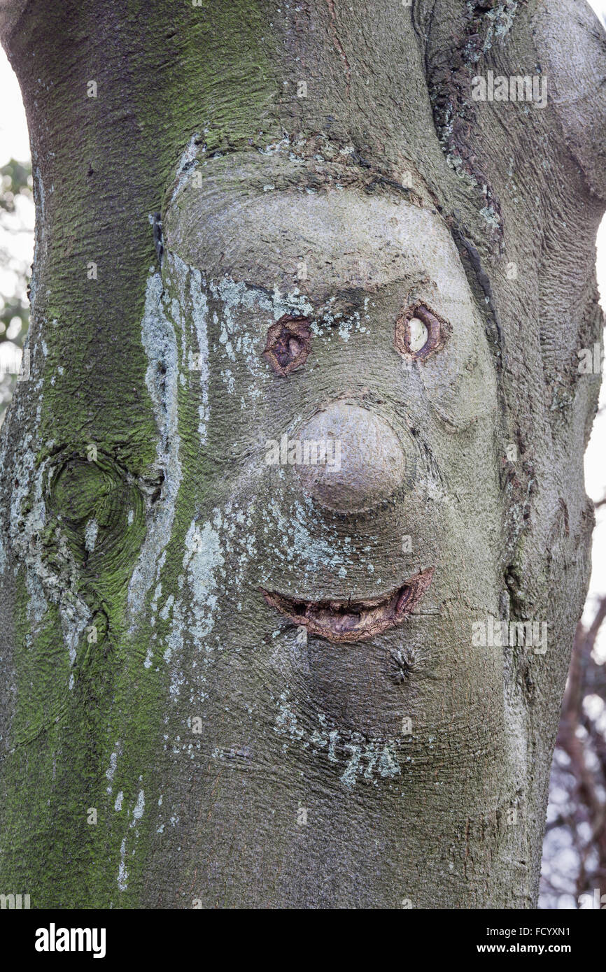 Albero con faccia felice che figurano nella corteccia Foto Stock