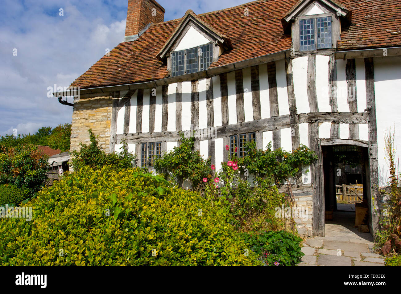 La Mary Arden's Farm un tempo era la casa di William Shakespeare a Stratford-upon-Avon, Regno Unito Foto Stock