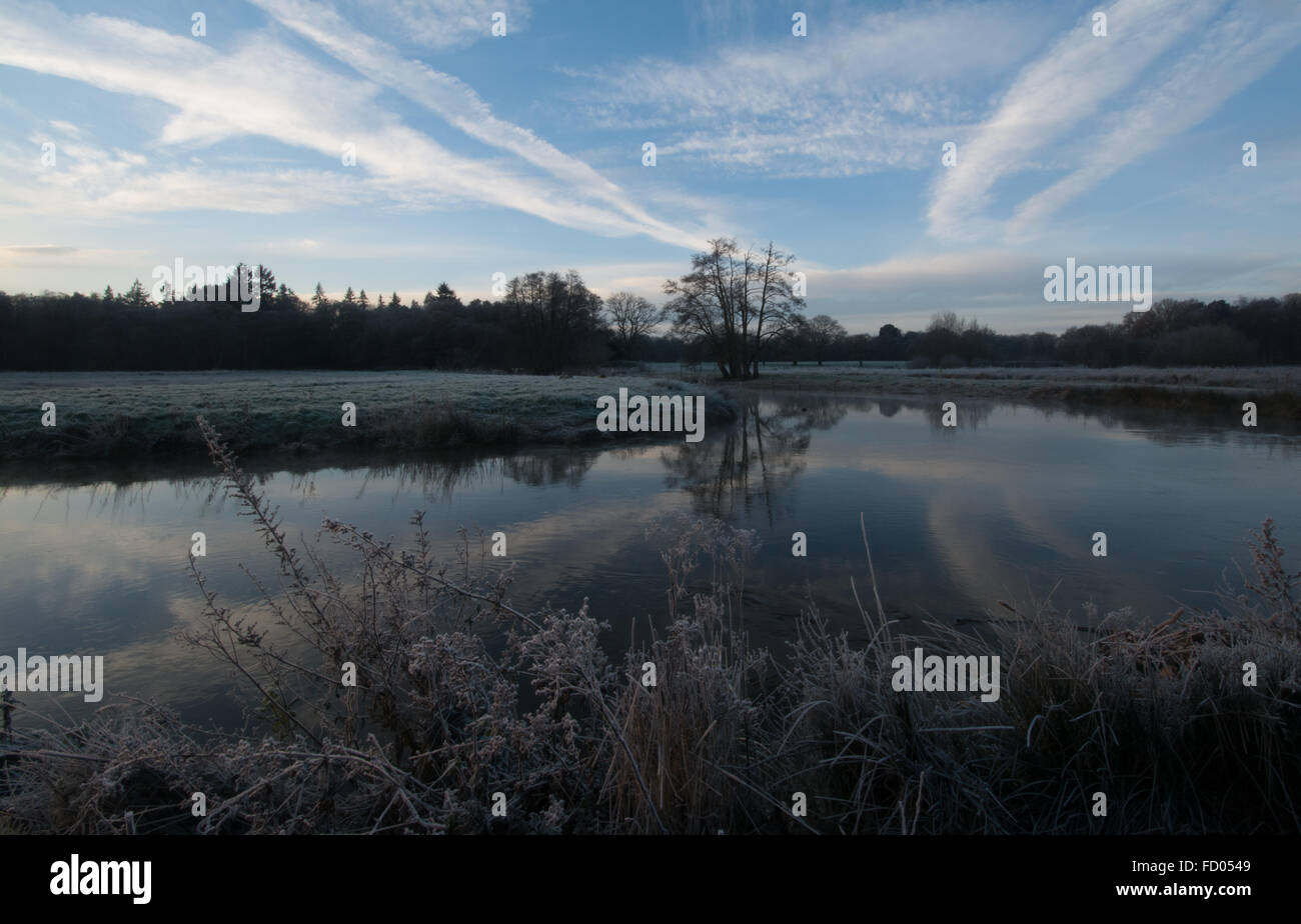 Frosty mattina a Prati Thundry nel Surrey, Inghilterra, Regno Unito Foto Stock