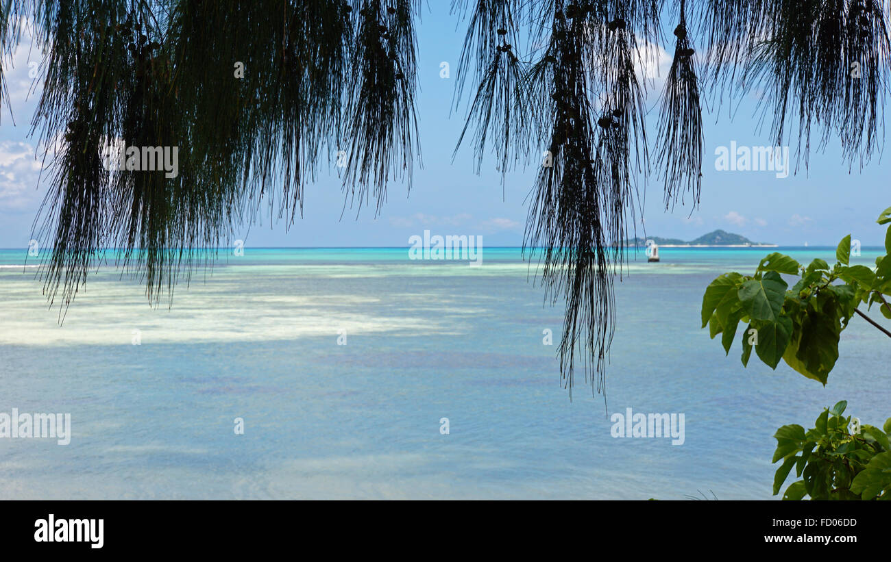 Tropical Beach anse citron sull'isola di Praslin Foto Stock