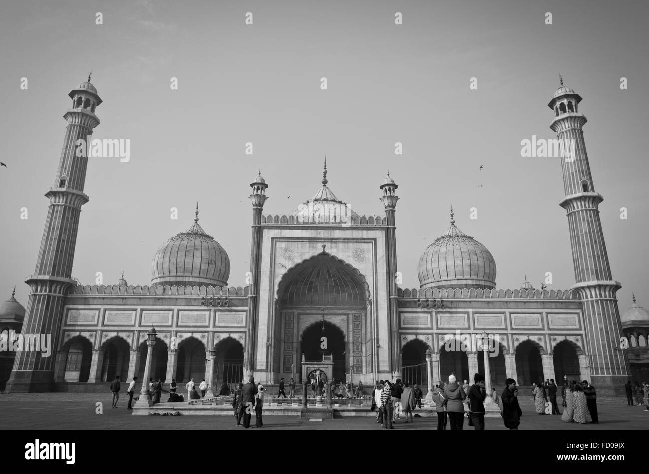 Jamal Masjid, la Vecchia Delhi, India Foto Stock