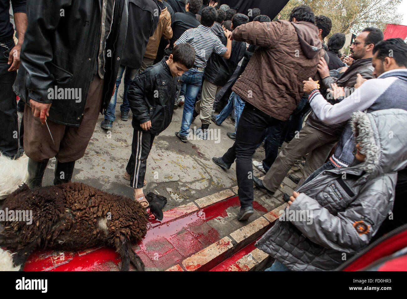 Furing sacrificio rituale di Ashura a Kashan, Iran. Foto Stock