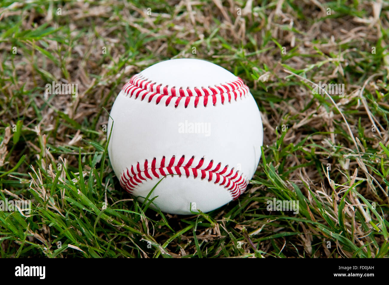 Close-up di baseball americano seduto nell'erba. Foto Stock