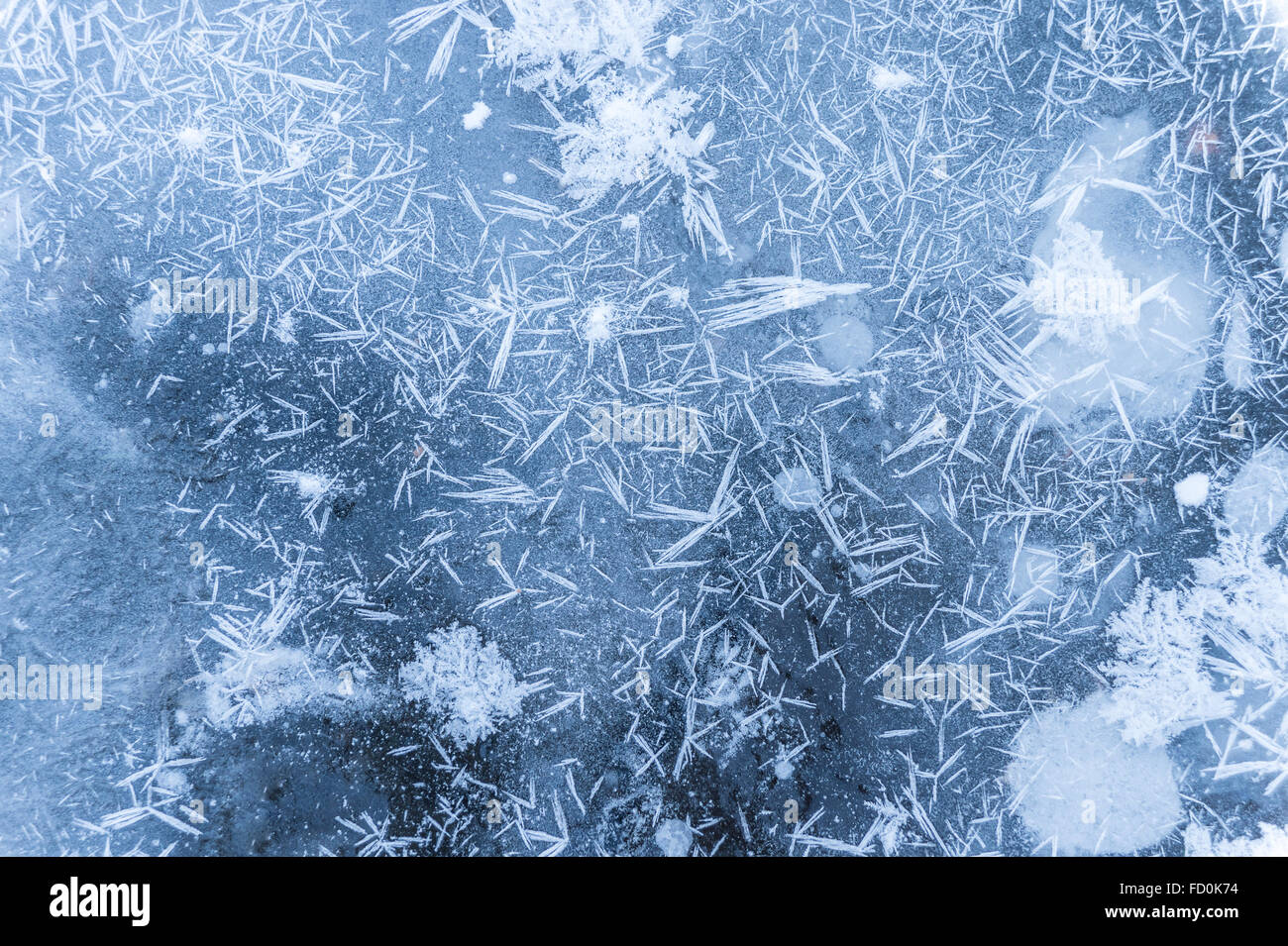 I cristalli di ghiaccio sulla superficie di acqua congelata Foto Stock