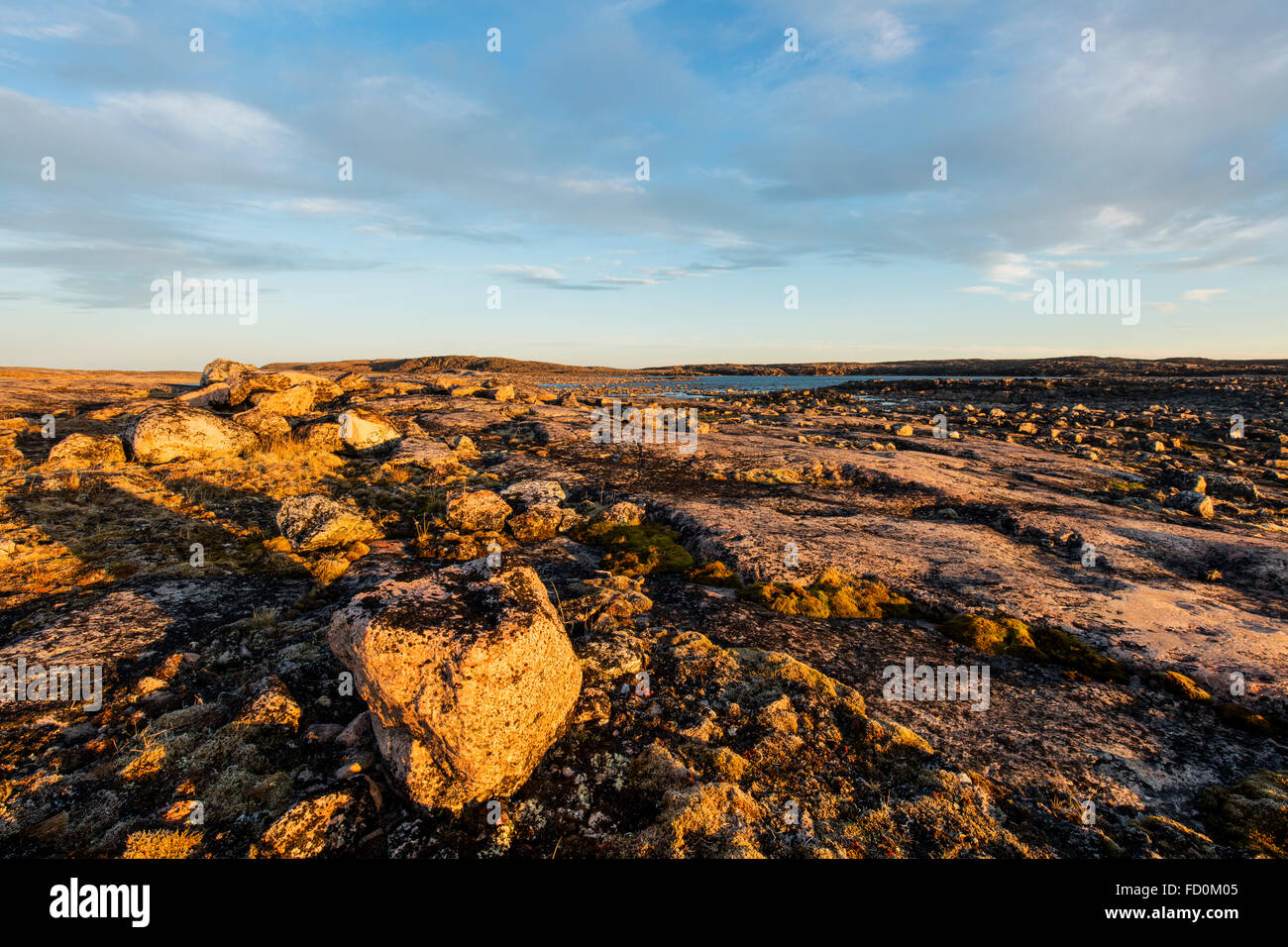 Canada, Nunavut Territorio, impostando il sole di mezzanotte luci costa sterile vicino a Bury Cove lungo la costa occidentale della Baia di Hudson approximat Foto Stock