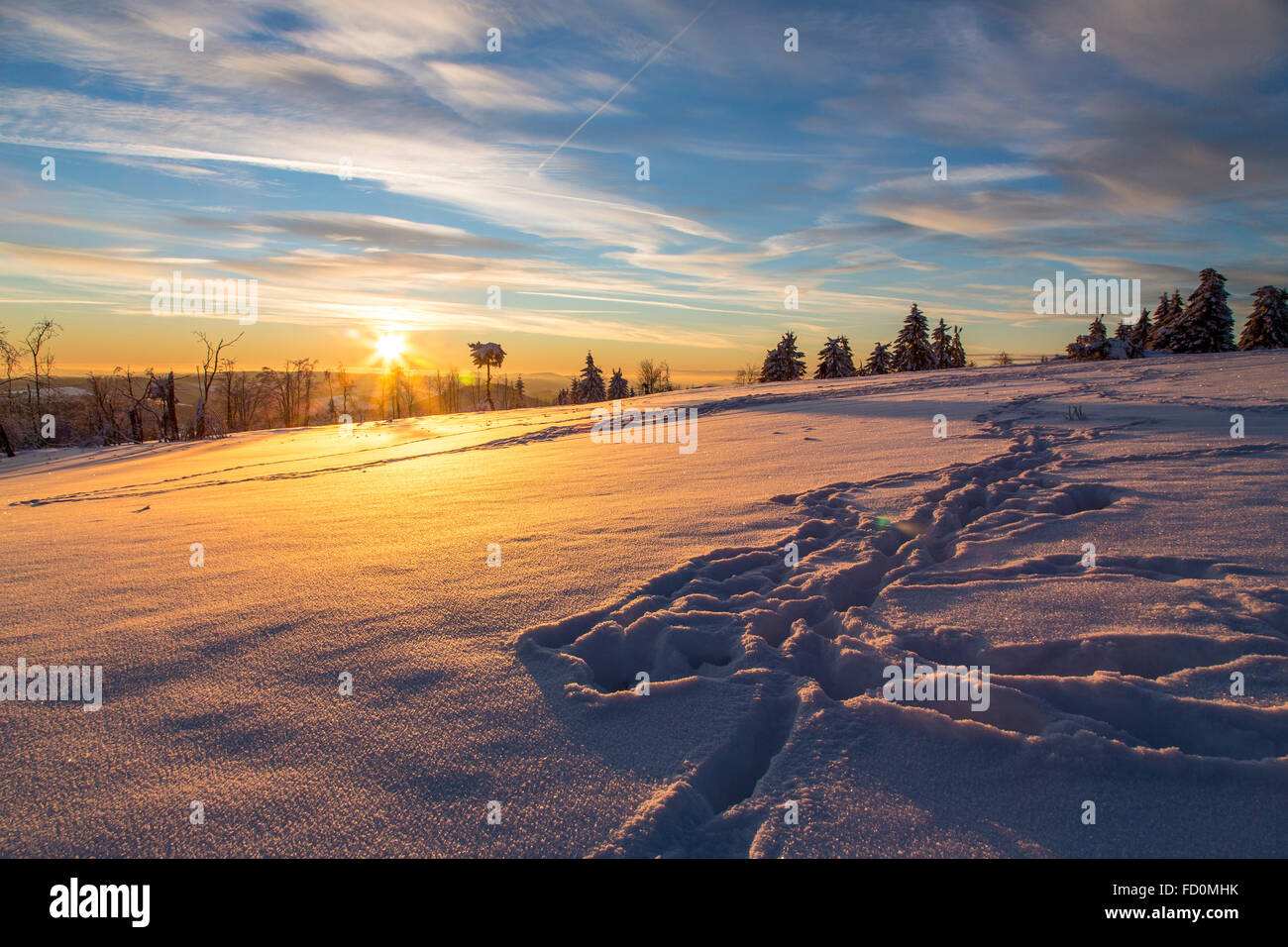 "Kahler Asten' montagna più alta nel Nord Reno Westfalia, in Germania, in inverno, il paesaggio innevato, tramonto Foto Stock