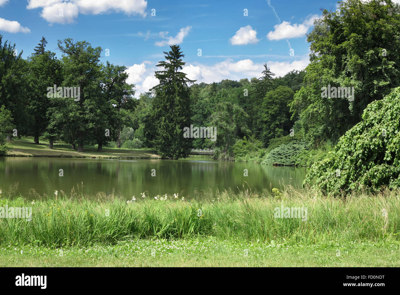 Giornata di sole nel parco Foto Stock