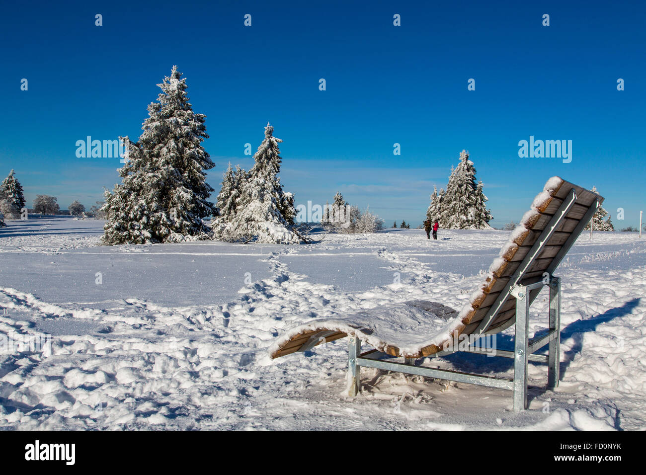 "Kahler Asten' montagna più alta nel Nord Reno Westfalia, in Germania, in inverno, il paesaggio, Foto Stock