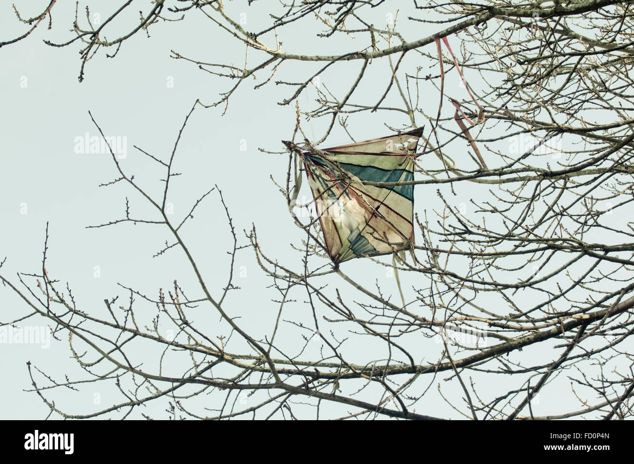 Età toy kite bloccato in una struttura ad albero Foto Stock