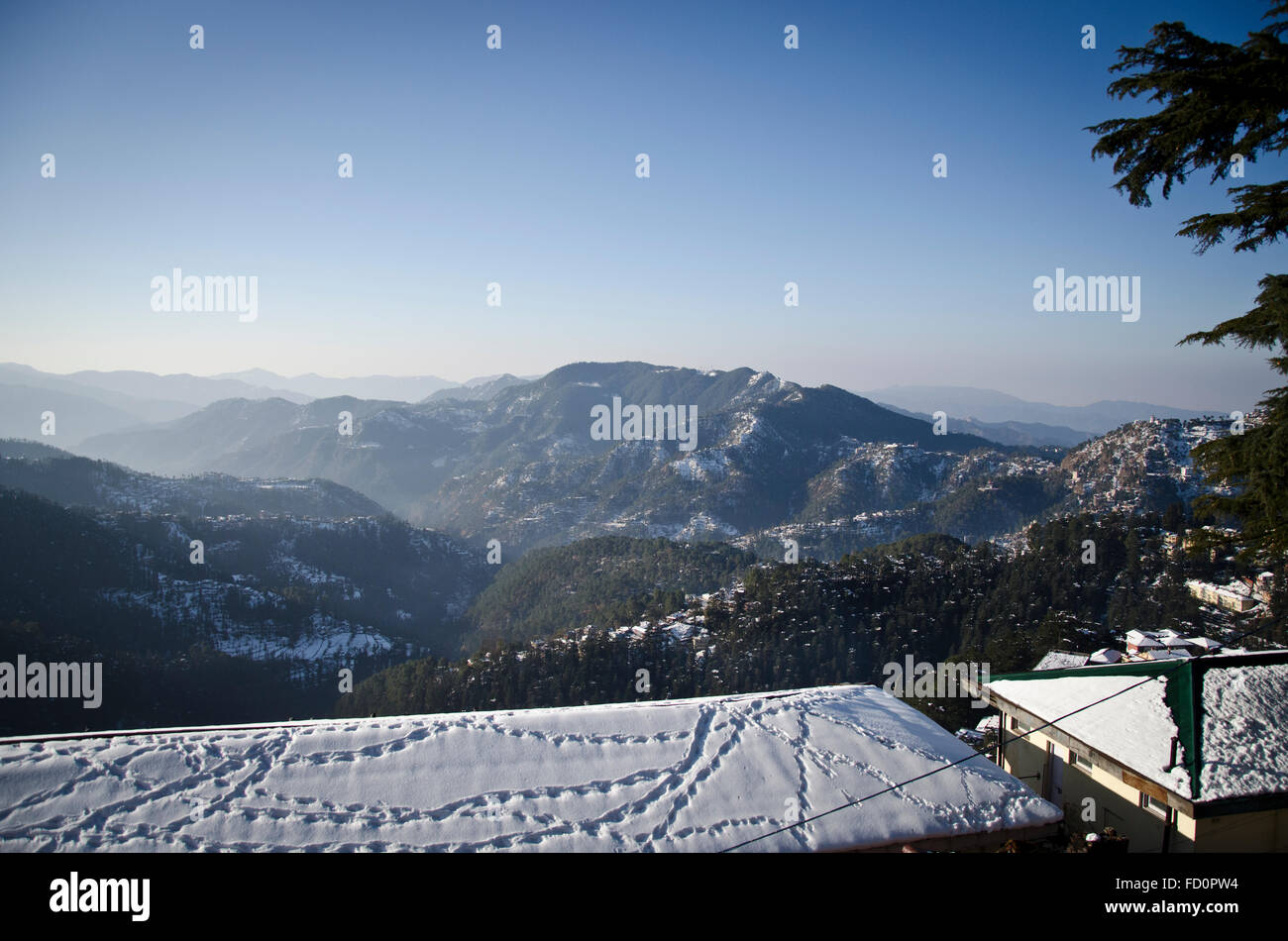 Footprint di scimmia, Shimla in inverno, Himachal Pradesh, India Foto Stock