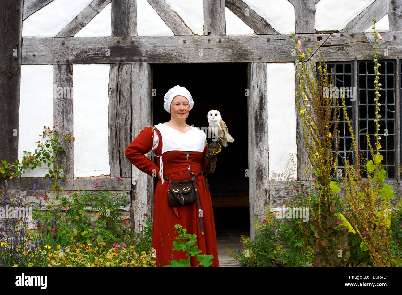 Signora che tiene millie il fienile è in mostra presso la Mary Arden’s Farm di Stratford-upon-Avon. Foto Stock