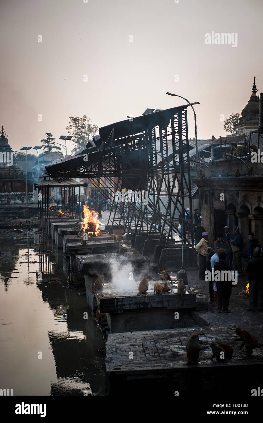 Il Nepal, Kathmandu, Pashupatinath, cremazione funerali Foto Stock