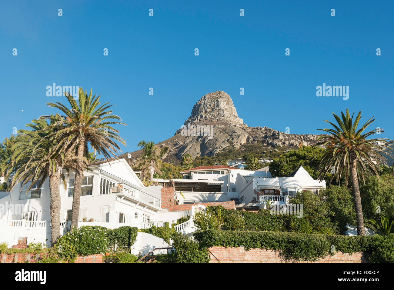 Ville a Bantry Bay, Città del Capo, Città del Capo comune, Provincia del Capo occidentale, Repubblica del Sud Africa Foto Stock
