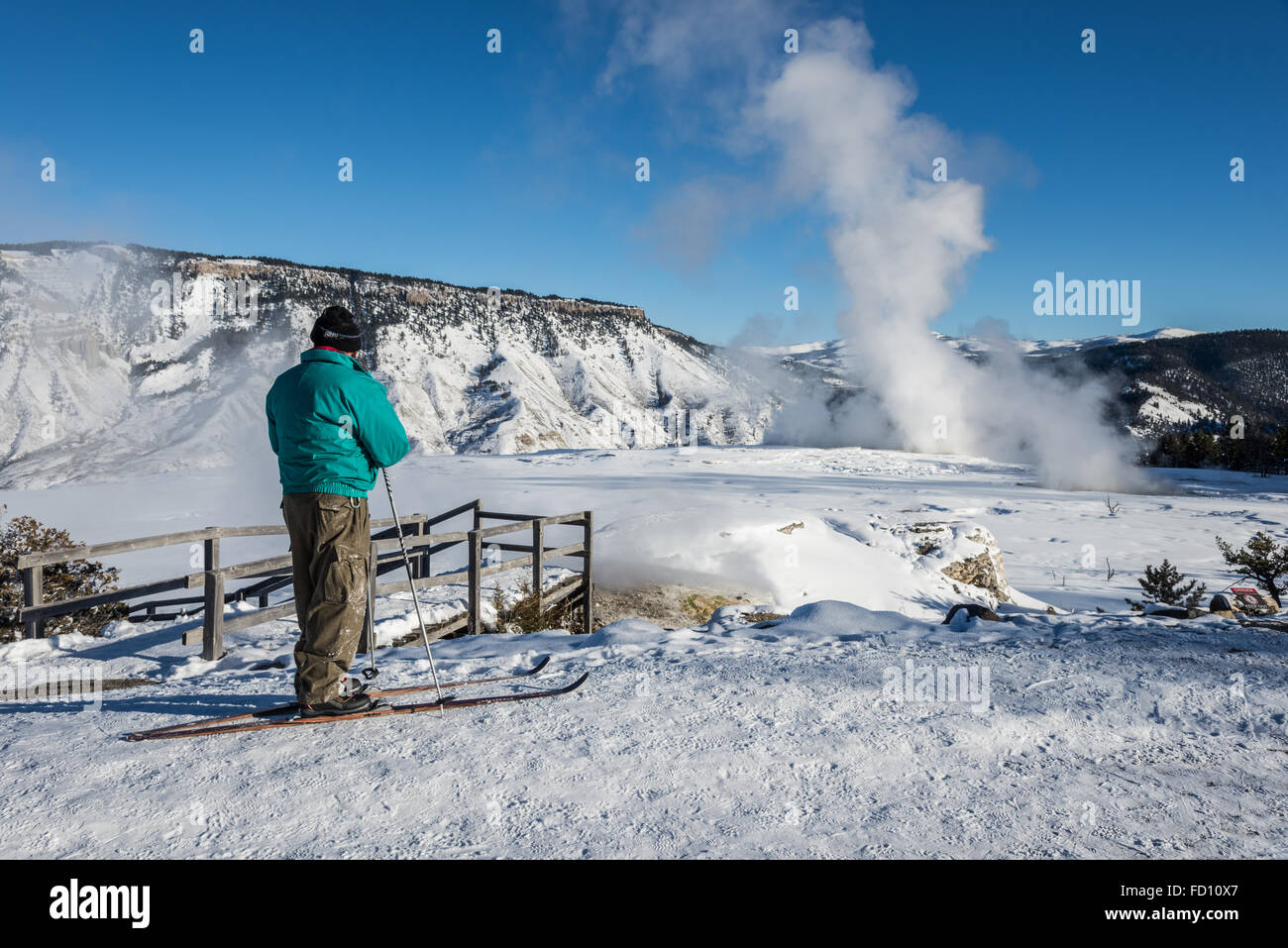 Un fondista si gode della vista del Mammoth Hot Springs, il Parco Nazionale di Yellowstone, Wyoming negli Stati Uniti. Foto Stock