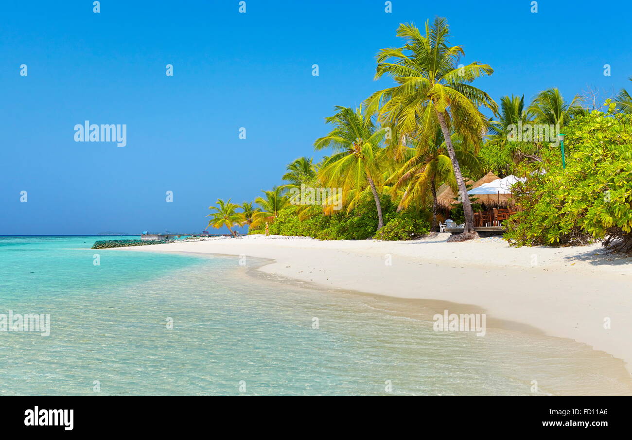 Isole delle Maldive, Ari Atoll, Oceano Indiano Foto Stock