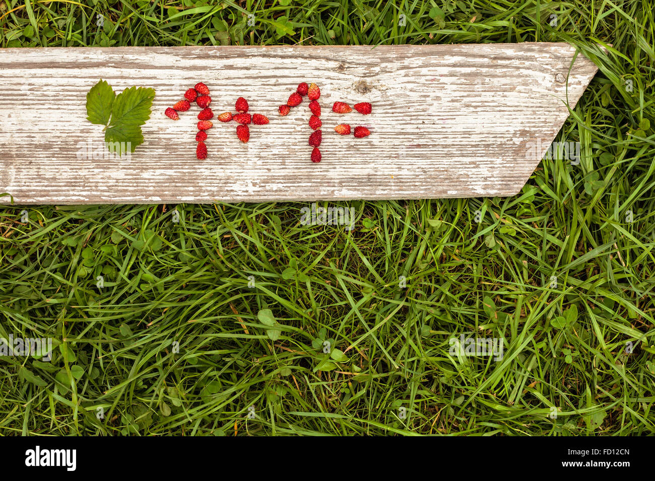 Numeri e segni matematici da fragole Foto Stock