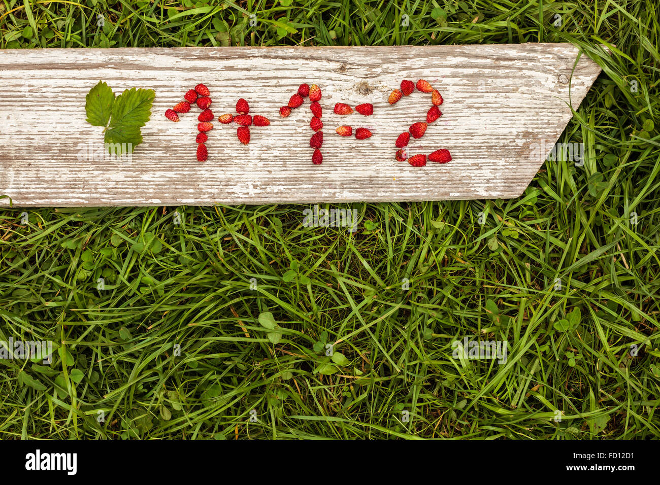 Numeri e segni matematici da fragole Foto Stock