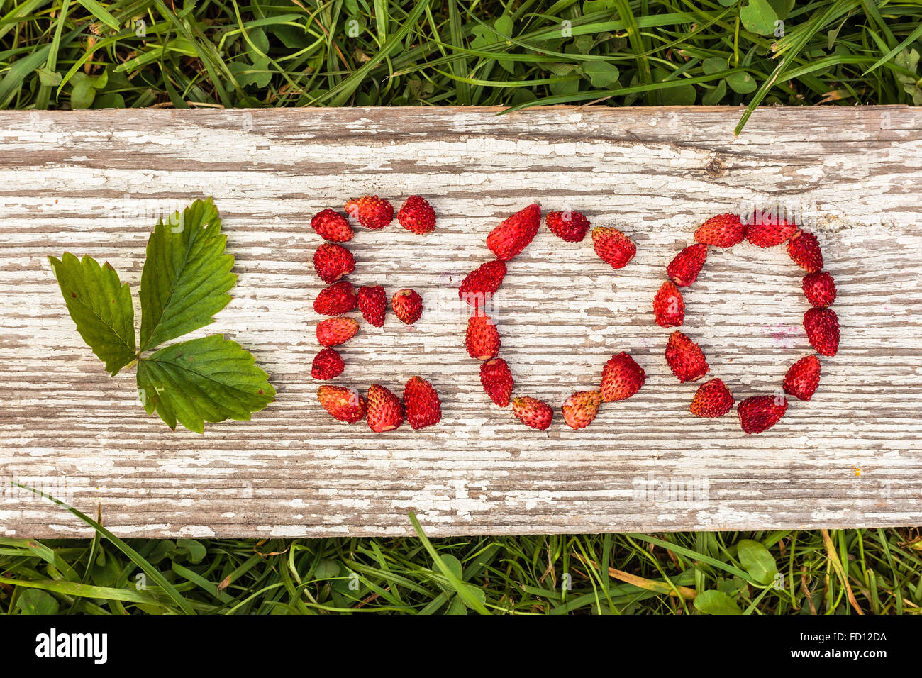 Erba verde e grigio a bordo. Lettera ECO realizzato da frutti di bosco freschi Foto Stock