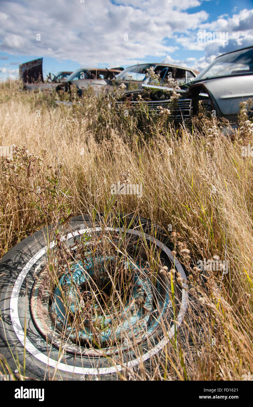 Un scartato automobile pneumatico giacente a terra, tra alte erbe, nella parte anteriore dei veicoli distrutti in un auto salvage yard Foto Stock