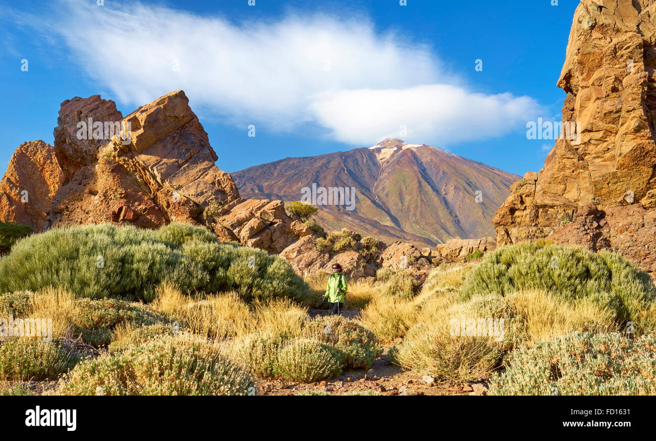 Parco Nazionale del Teide, Isole Canarie, Tenerife, Spagna Foto Stock