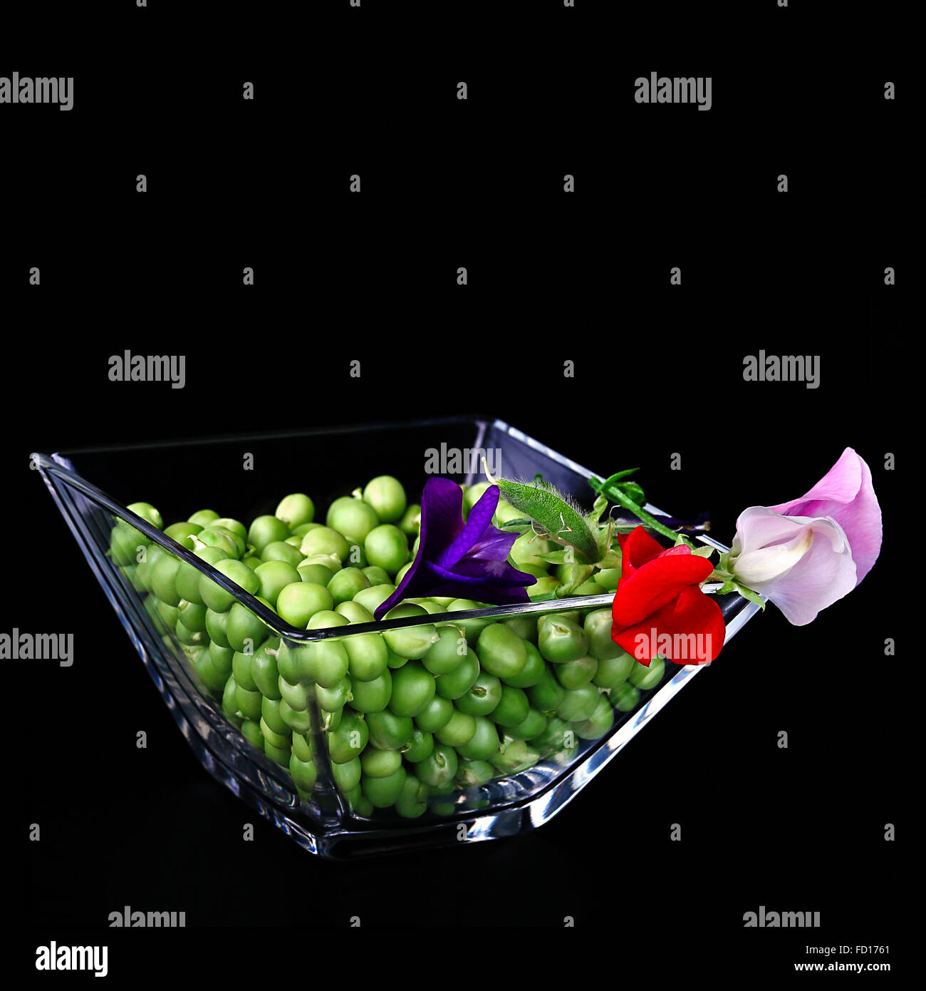 Freschi di piselli verdi con boccioli in un vaso di vetro su uno sfondo nero Foto Stock